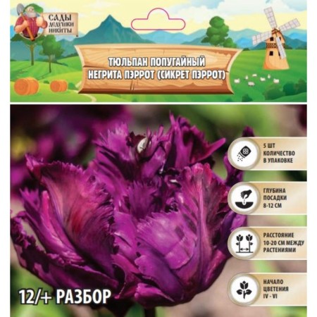 Tulip Parrogen Negrit Parrot (Sicret Parrrot), Rr 12+, 5 pcs, autumn 2024