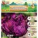 Tulip Parrogen Negrit Parrot (Sicret Parrrot), Rr 12+, 5 pcs, autumn 2024