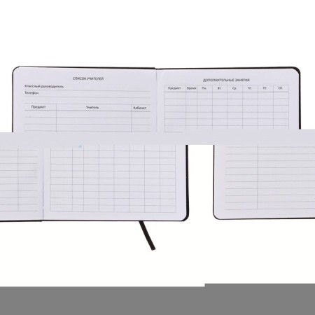 Universal diary for class 1-11, integral cover, artificial leather, silkography, liesse, 80 g/m2-3