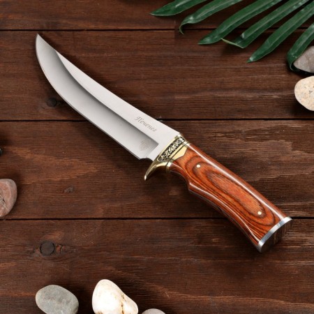 Hunting knife "Pechene" steel - 50x14, handle - bakelite, 30 cm-1