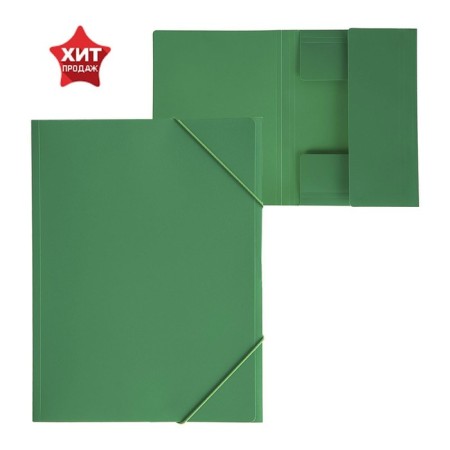 A4, 500 μm elastic band, calligrata, 4 mm spine, up to 300 sheets, embossing "sand", green