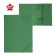 A4, 500 μm elastic band, calligrata, 4 mm spine, up to 300 sheets, embossing "sand", green