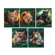 Notebook of 48 sheets in the cage 