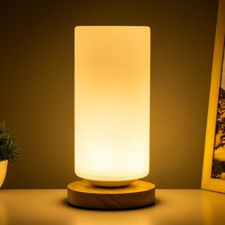 Table lamp "Cylinder" LED 5W USB 12x12x24 cm Risalux-2