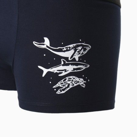 Men's panties "Sea World", dark blue color, size 56-6