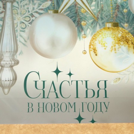 Craft package with a plastic window "Happiness", 31 x 26 x 11 cm, New Year-4