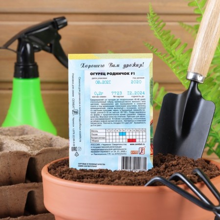 Cucumber seeds "Rodnichok" F1, 0.2 g-3