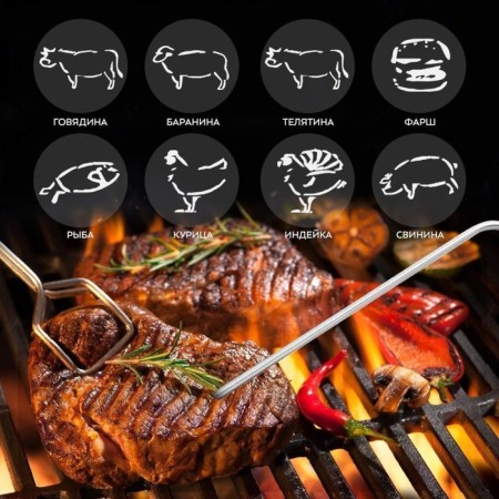 Thermometer for meat KitFort KT-2067-2