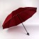 Mechanical umbrella "Alister", 4 additions, 10 spokes, r = 52 cm, color mix