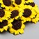 Flowers for decorating "sunflower" 1 bouquet = 10 colors 7x3x3 cm