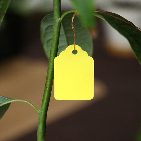 Garden tags for marking, 4.5 × 3 cm, set 20 pcs., Plastic, mix, Greengo-5