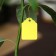 Garden tags for marking, 4.5 × 3 cm, set 20 pcs., Plastic, mix, Greengo
