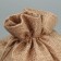 A bag of thermonacle "Squirrel", 16 x 24 cm +/- 1.5 cm, New Year