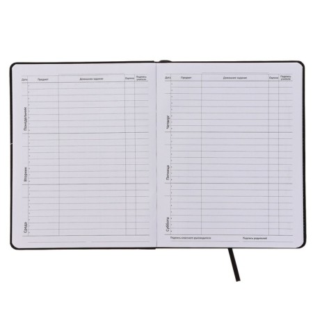 Universal diary for grade 1-11 Game, integral cover, artificial leather, silkography, liesse, 80 g/m2-5