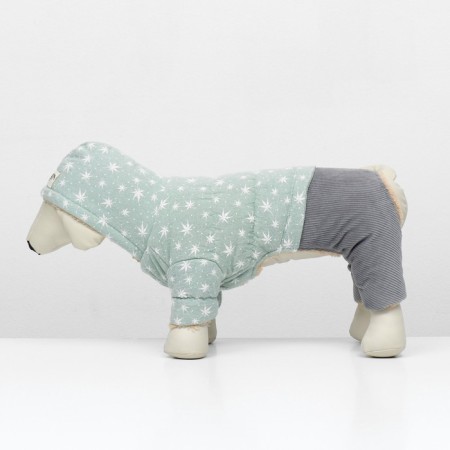 Combines "Walk", size L (DS 32, OG 48, Osh 33 cm, up to 8.5 kg), gray-green-4