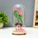 Nightlight "Beloved couple" LED from batteries 3xlr44 10x10x21 cm Risalux