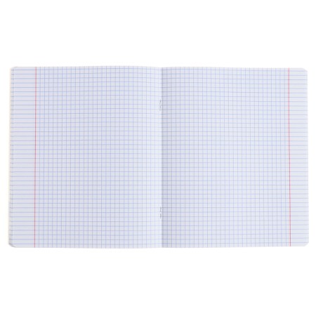 Subject notebook, 48 sheets, cage, social studies, Erichkrause "BENFORMED", plastic cover silk-screen cover, Bloc OFSET BELICE 100%, information block-4