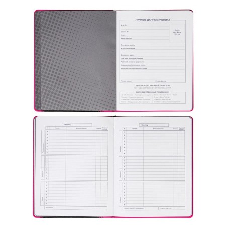 School diary for grades 1-11 "cat in a cap", firm cover with artificial leather foam, application, silk-screen water, 48 sheets, an offset block 80g/m2, universal cheat sheet-3
