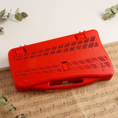 Musical tool Music Life, 25 tones, case, 2 sticks, red-4