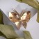 Brooch "Butterfly", the color is gray-black in gold