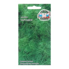 Semen dill 