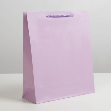 Gift package laminated, packaging, "lilac", ml 21 x 25 x 8 cm-2