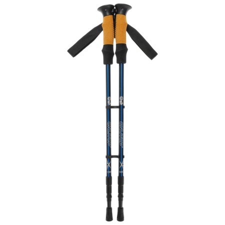 Sticks for Scandinavian walking online, telescopic, 3 sections, up to 135 cm, 2 pcs., Mix color-7