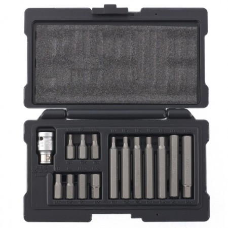 Set Stels 11313, HEX, CRV, hexagonal shank 10 mm, H4 - H12, 15 pcs.-2