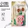 Chancellery "Congratulations": pencils 2 pcs, erasers 2 pcs, notebook