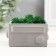 Kashpo concrete mini "Retro radio" with moss lightly gray 8x4x4.5cm (moss green stabilizer.)