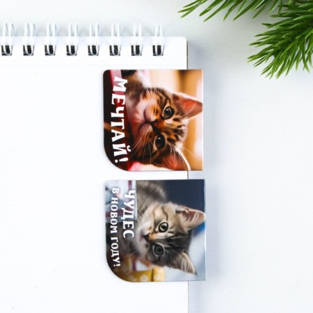 Gift New Year's set: a notebook on the A6 spiral, 60lists and magnetic bookmarks 2 pcs. "I am your gift"-8