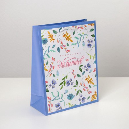 Gift Package Laminated, Packaging, Best Wishes, MS 18 x 23 x 8 cm-1