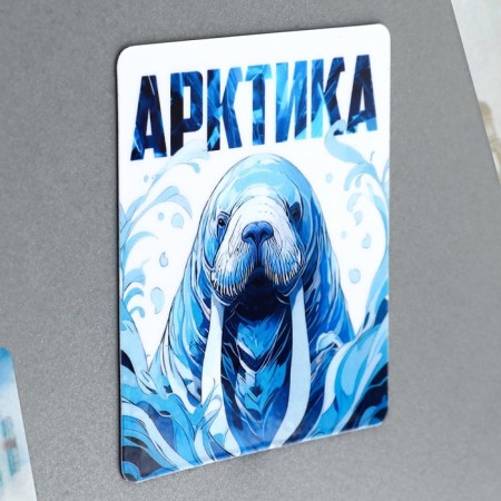Vinyl magnet "Arctic" 6 x 7 cm-1