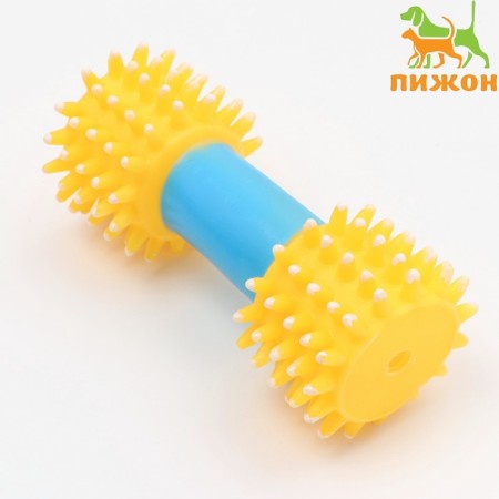 Dog toy squeak "Massage dumbbell", 14 cm, yellow/blue