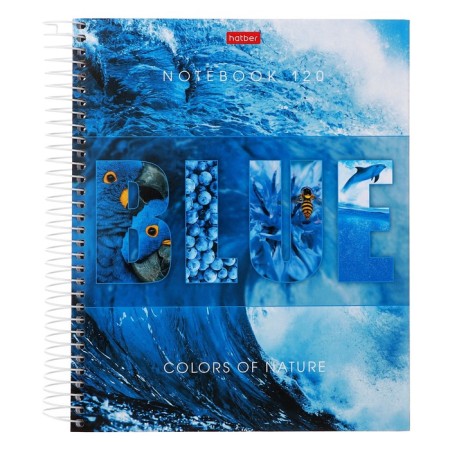 120 sheets college, in a cage on the crest "Harmony of Color", solid cover, offset block