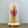 Nightlight "Rosa flask in the bouquet" LED 3AA MIX 23x11x11 cm Risalux