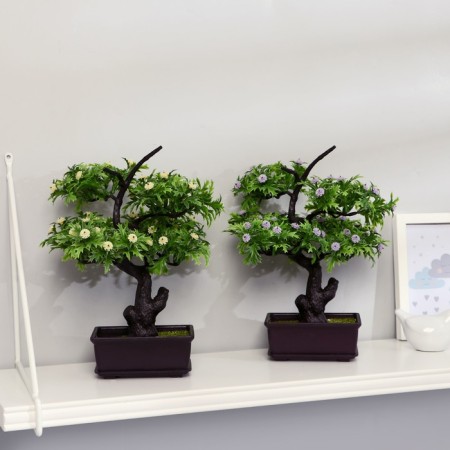 Bonsai "Azorella" 12x28 cm, mix-2