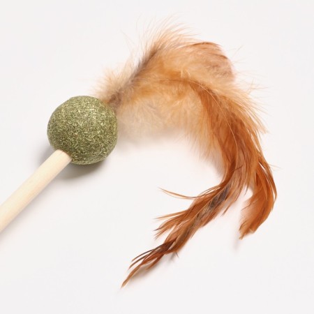 Teaser with a ball of feline mint and feathers, 52 cm-1
