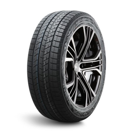 Winter NesyPatable DoubleStar DW16 205/55 R17 95T