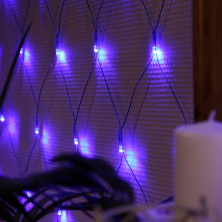 Garland "Network" 1.6 × 1.6 m, IP20, transparent thread, 144 LED, glow "Flag of Russia", 220 V-2