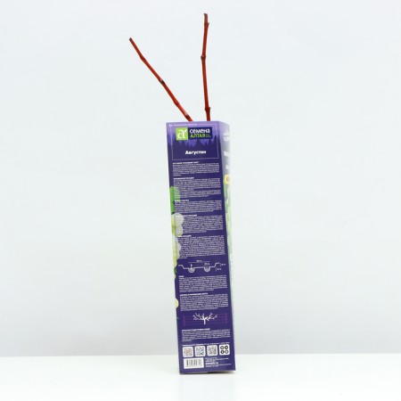 Grape seeder Augustine, 1 pc, spring 2024-2