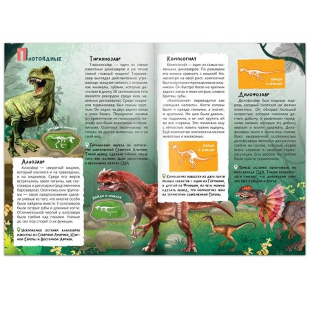 Book with stickers "In the world of dinosaurs", 16 p.-2