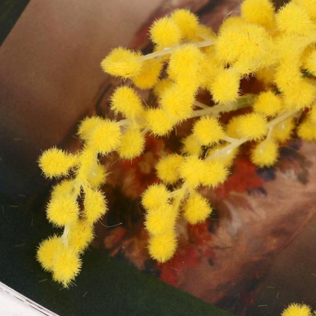 Artificial flowers "mimosa" 65 cm, yellow-1