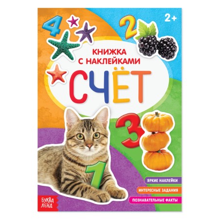 Book with stickers "Account", 12 p.