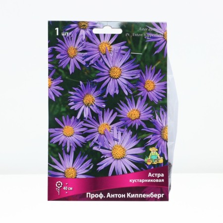 Astra Kustarnikka Profa Anton Kippenberg, rr I, 1 pc, spring 2025