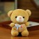 Soft toy "Bear with Heart", on a key fob, 12 cm, color mix