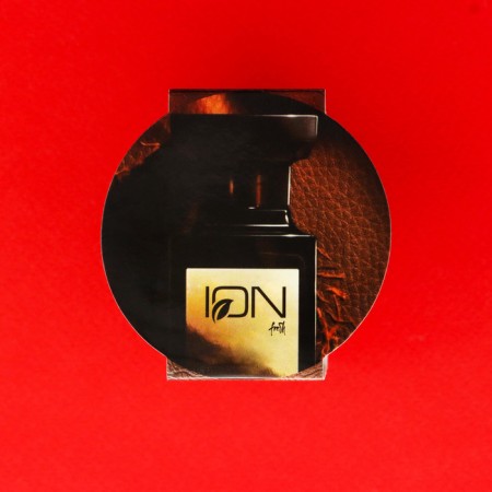Flavor Ion, on the panel, IEV-10 leather/fruits, 100 g-1