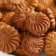Cookies healthy, apple crypts, taste: chocolate, without sugar, 30 g.