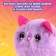 Interactive toy "My kitten" bracelet, comb, light, sound, mix