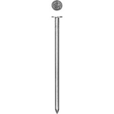 Nails of the bison master, thick, round, GOST 4029-63, galvanized, 3x40 mm, 0.1 kg